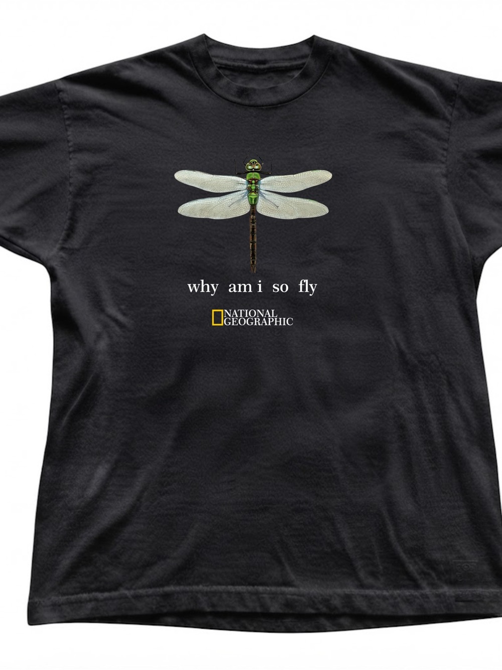 National Geographic Why Am I So Fly Dragonfly Gildan T-Shirt